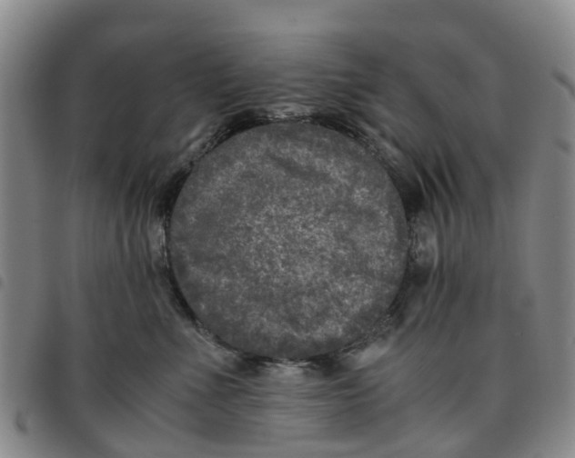 X0000097460523200803141854