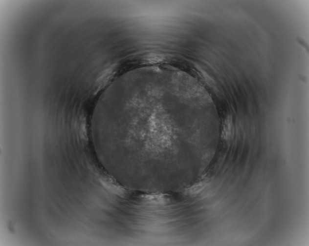 X0000097460524200803141854