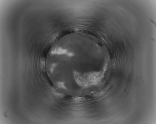 X0000097460527200803141854