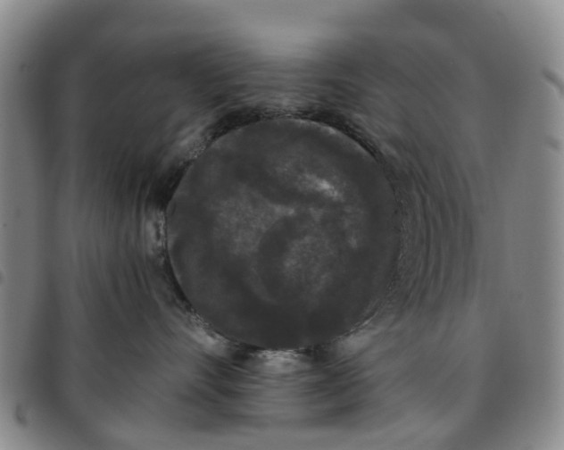 X0000097460528200803141854