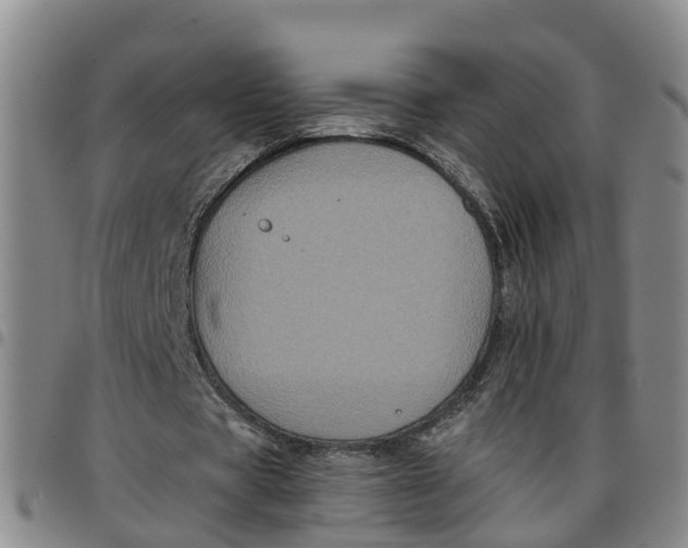 X0000097460529200803141854