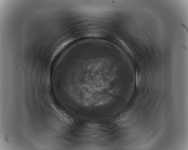 X0000097460531200803141854