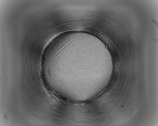 X0000097460532200803141854