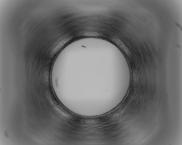 X0000097460533200803141854