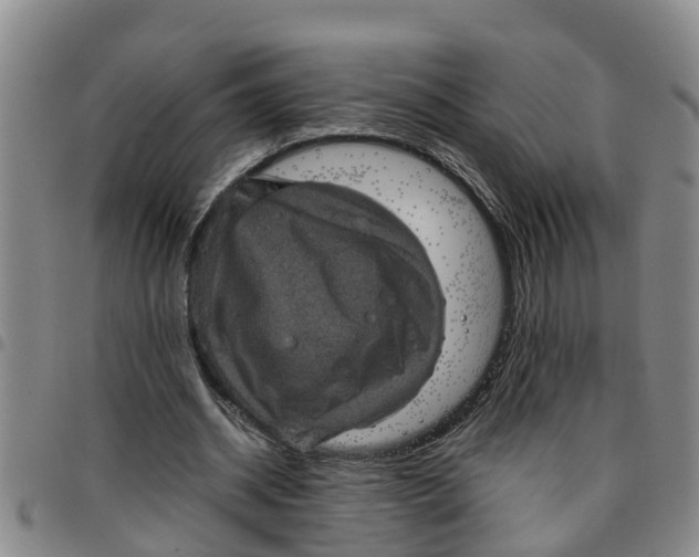 X0000097460534200803141854