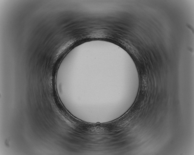 X0000097460535200803141854