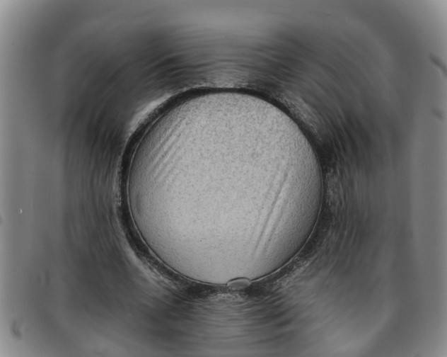 X0000097460536200803141854