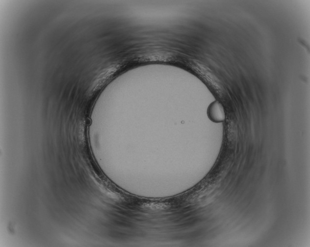 X0000097460537200803141854