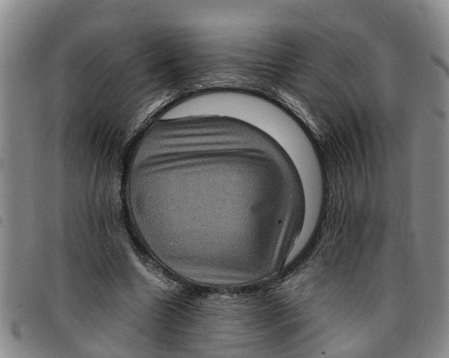 X0000097460538200803141854