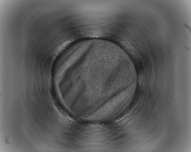 X0000097460540200803141854