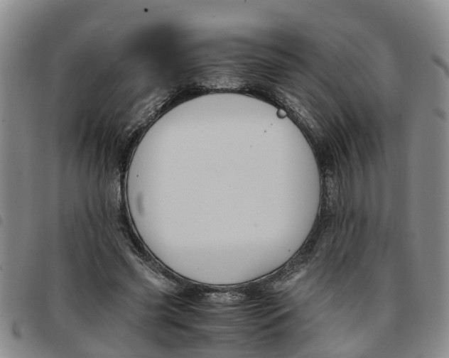 X0000097460541200803141854