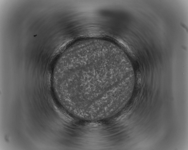 X0000097460542200803141854