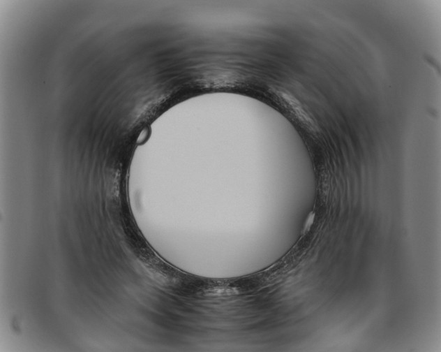 X0000097460543200803141854