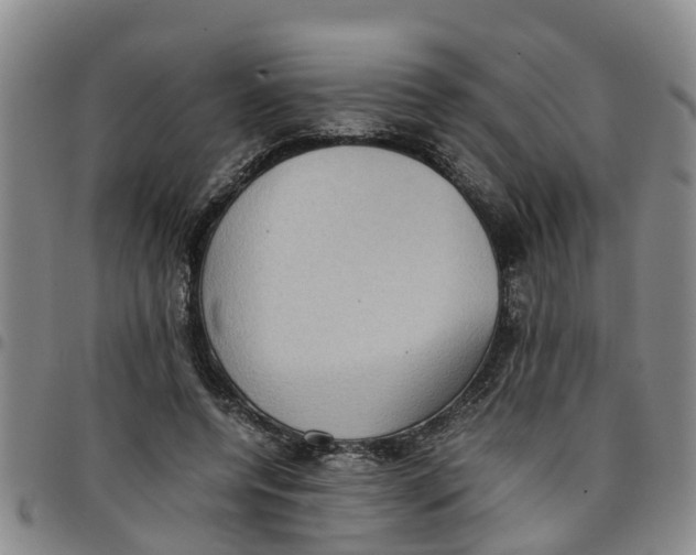 X0000097460544200803141854