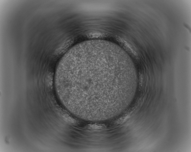 X0000097460545200803141854