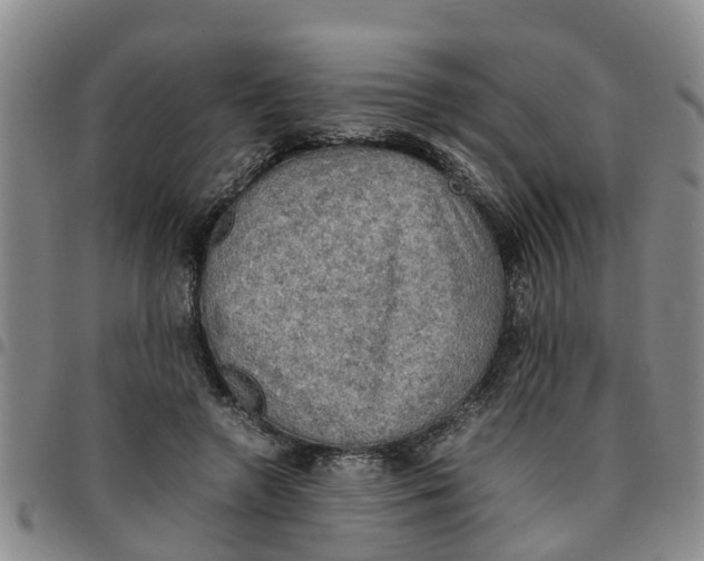 X0000097460546200803141854