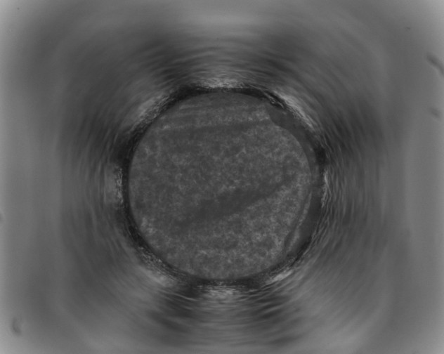 X0000097460547200803141854