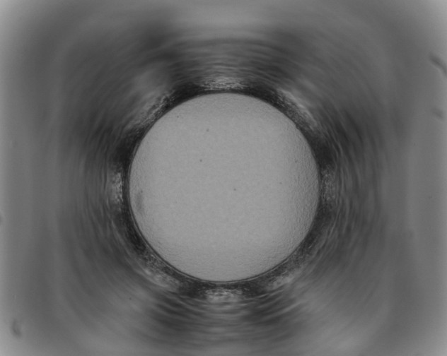 X0000097460549200803141854