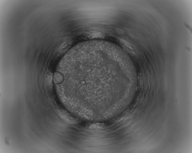 X0000097460550200803141854