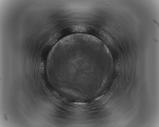 X0000097460551200803141854