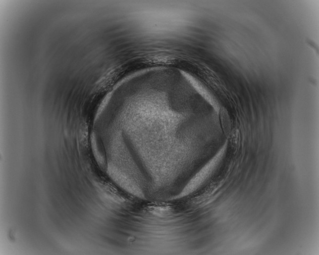 X0000097460552200803141854