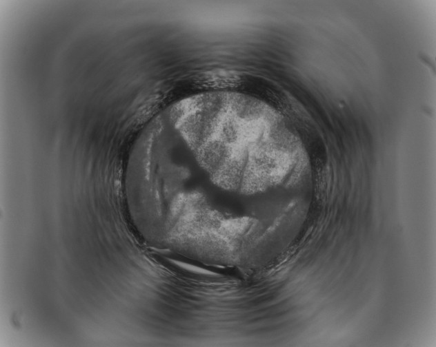 X0000097460553200803141854