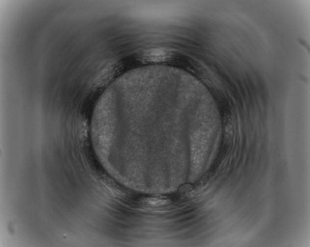 X0000097460555200803141854