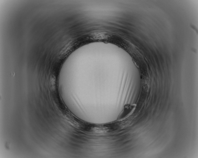 X0000097460556200803141854