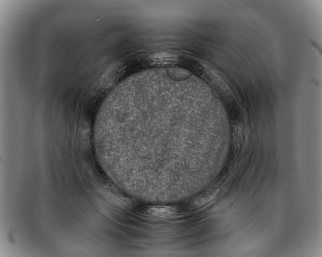 X0000097460557200803141854