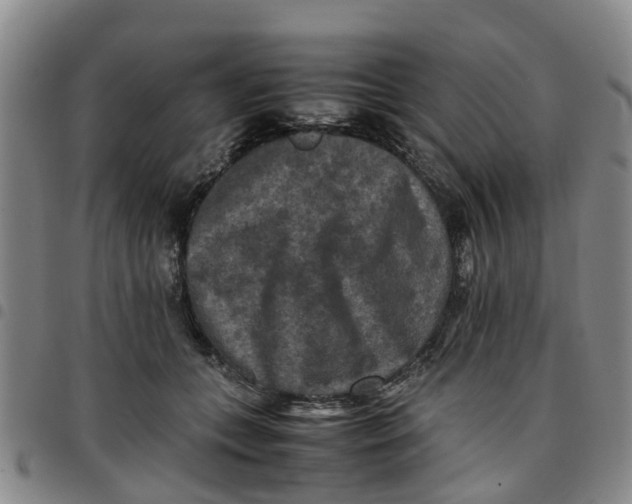 X0000097460559200803141854