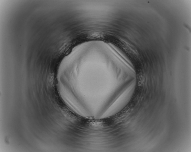 X0000097460560200803141854