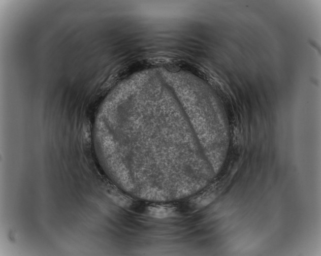 X0000097460561200803141854