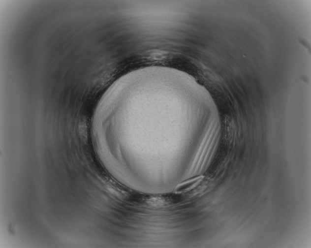 X0000097460562200803141854