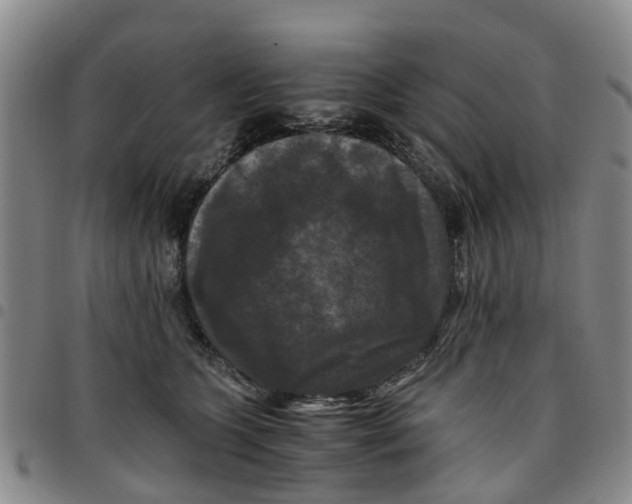 X0000097460563200803141854