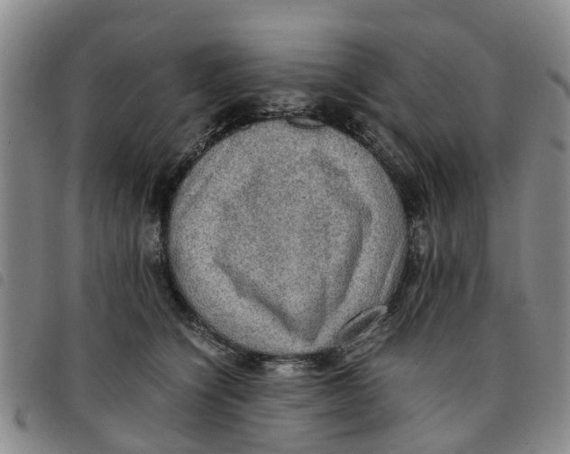 X0000097460564200803141854