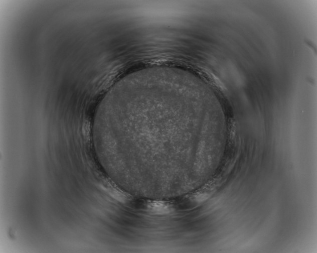 X0000097460565200803141854