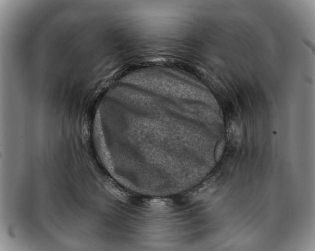 X0000097460566200803141854