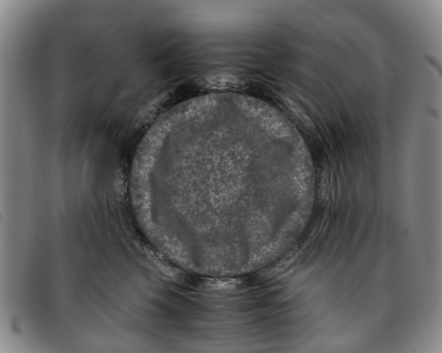 X0000097460569200803141854