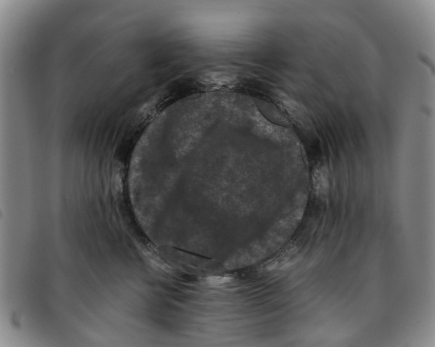 X0000097460570200803141854