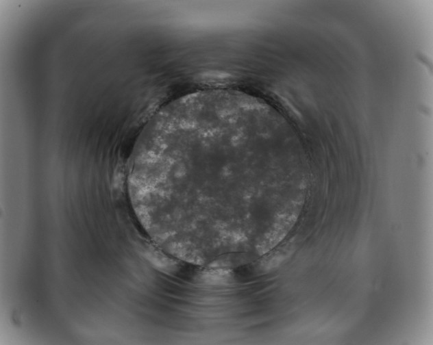 X0000097460576200803141854