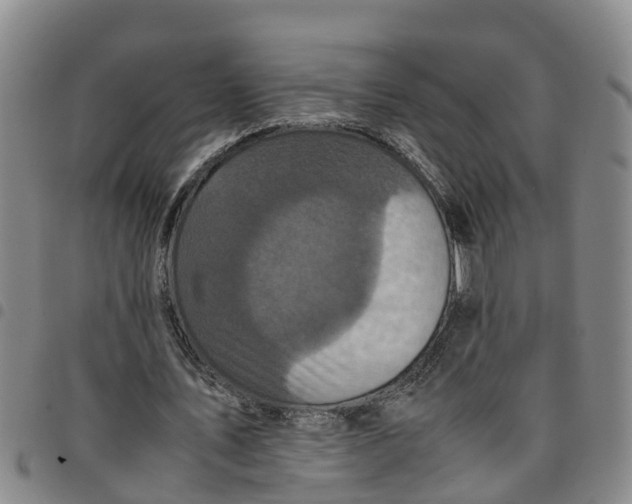 X0000097460579200803141853