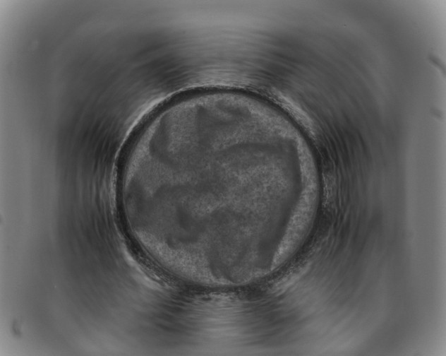 X0000097460580200803141853