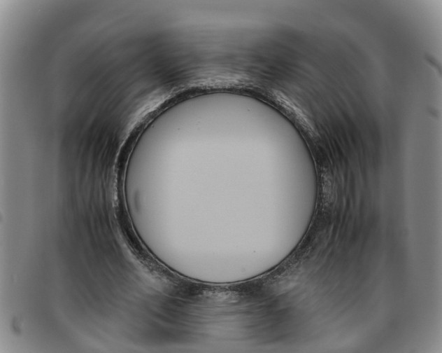 X0000097460582200803141853