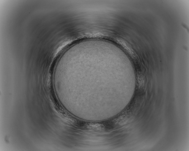 X0000097460583200803141853