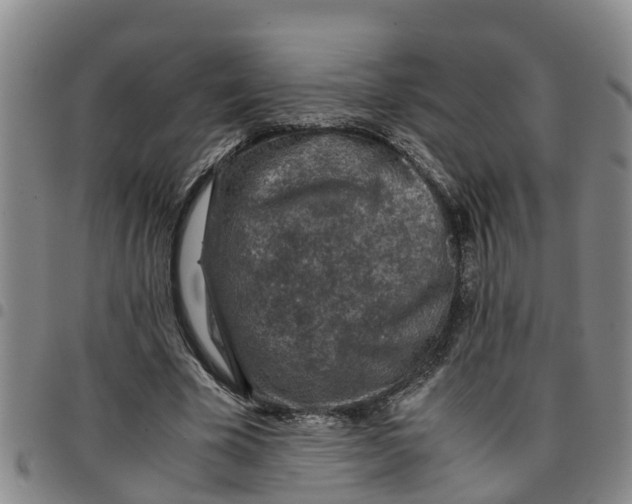 X0000097460585200803141853