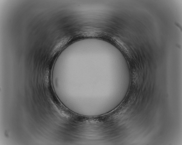 X0000097460586200803141853