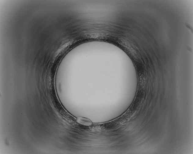 X0000097460587200803141853