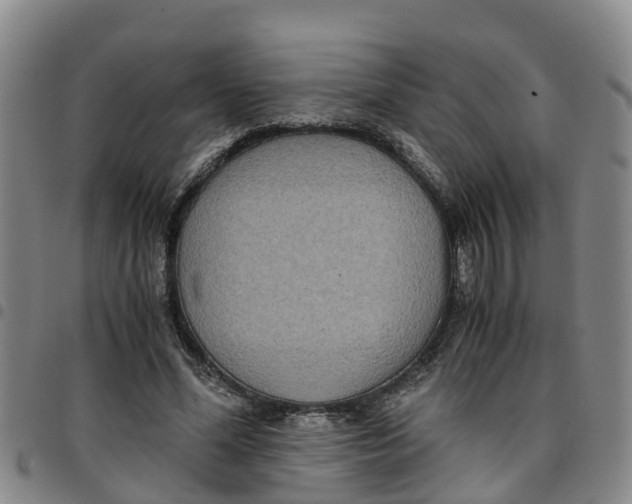 X0000097460588200803141853