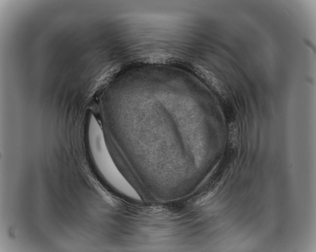 X0000097460589200803141853