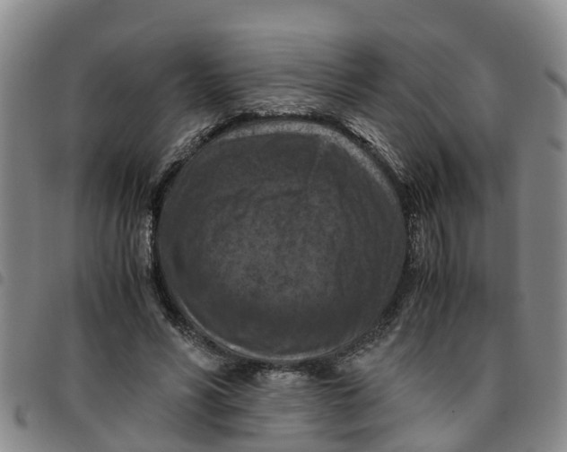 X0000097460590200803141853